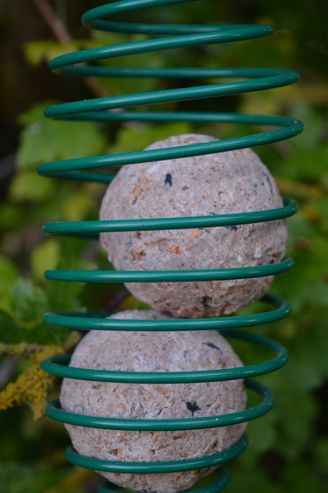 Spiral Feeder