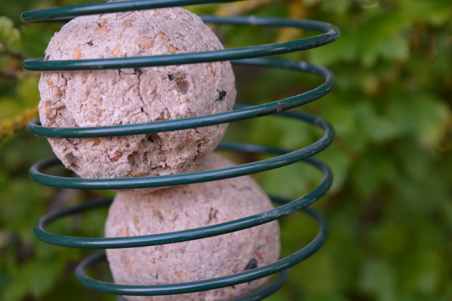 Spiral Feeder