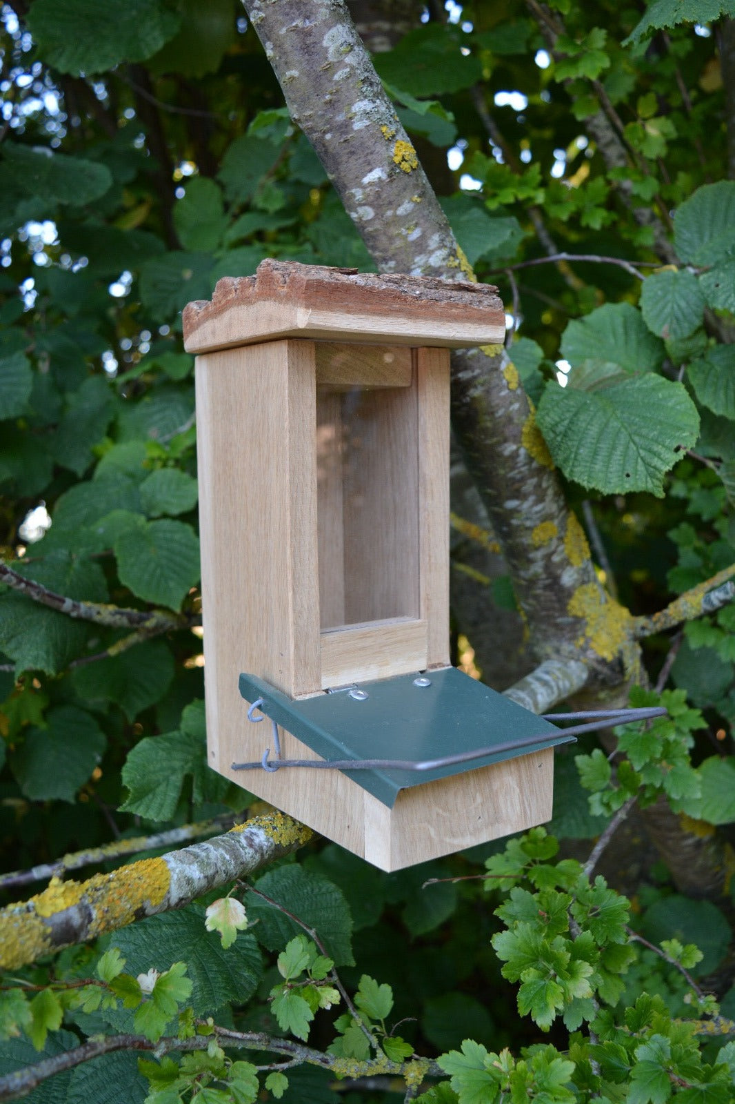Natural feeder for small birds