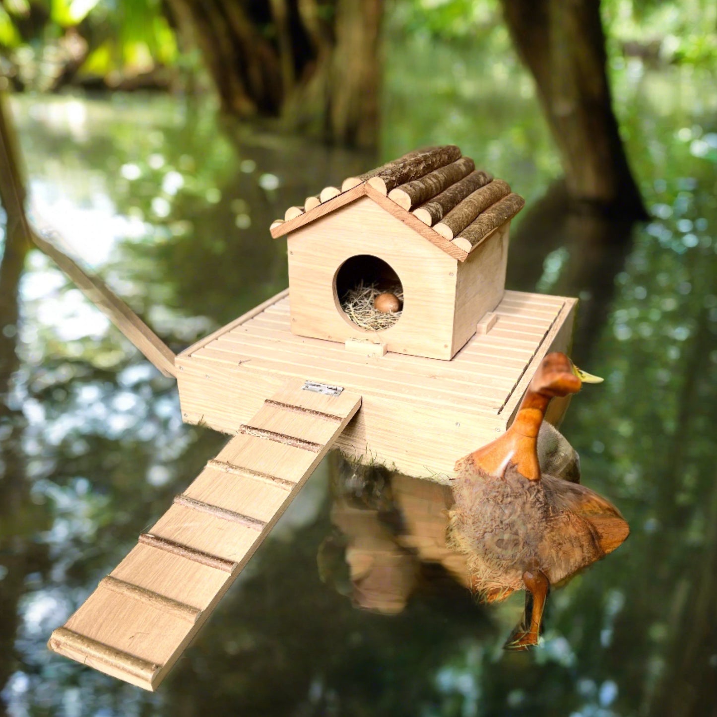 Duck house
