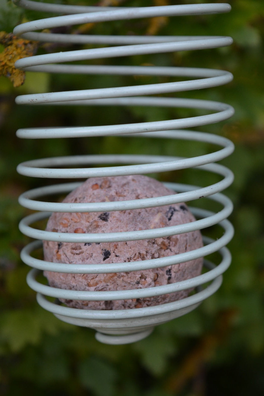 Spiral Feeder