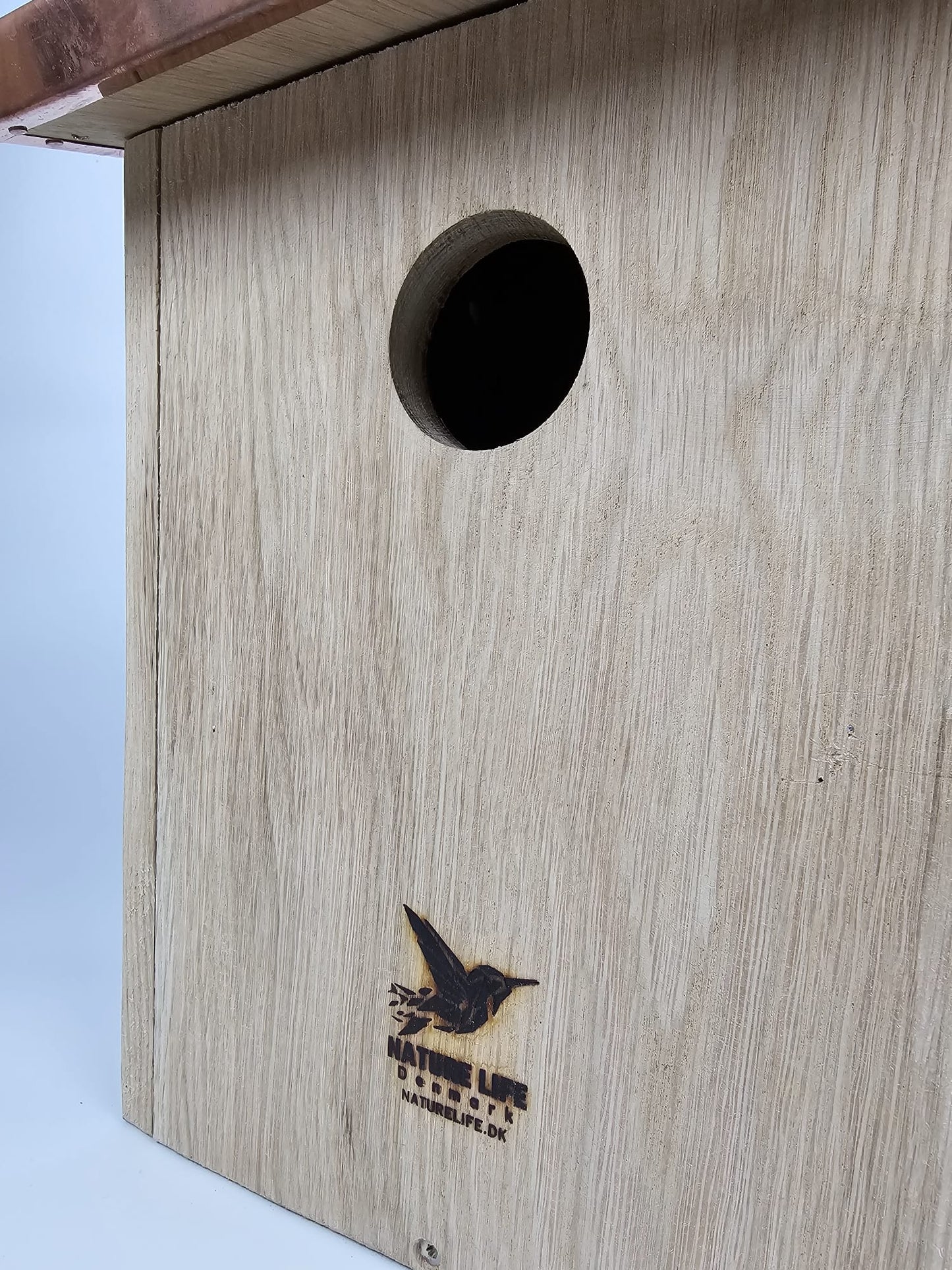 Starling nest 50mm - Copper roof