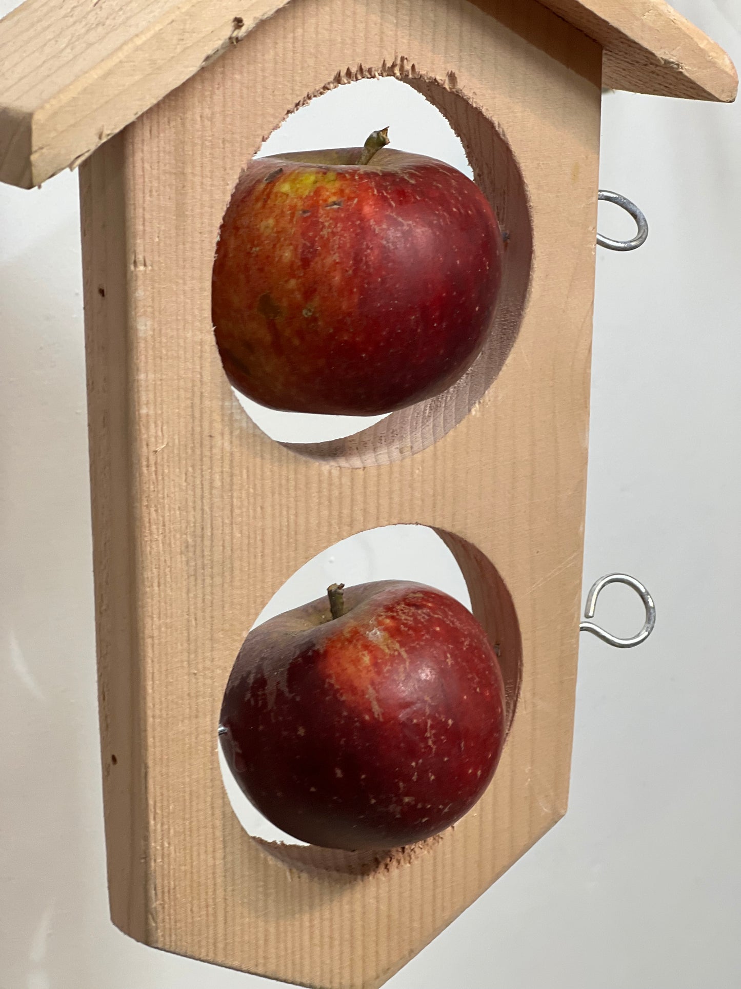 Apple house, hanging