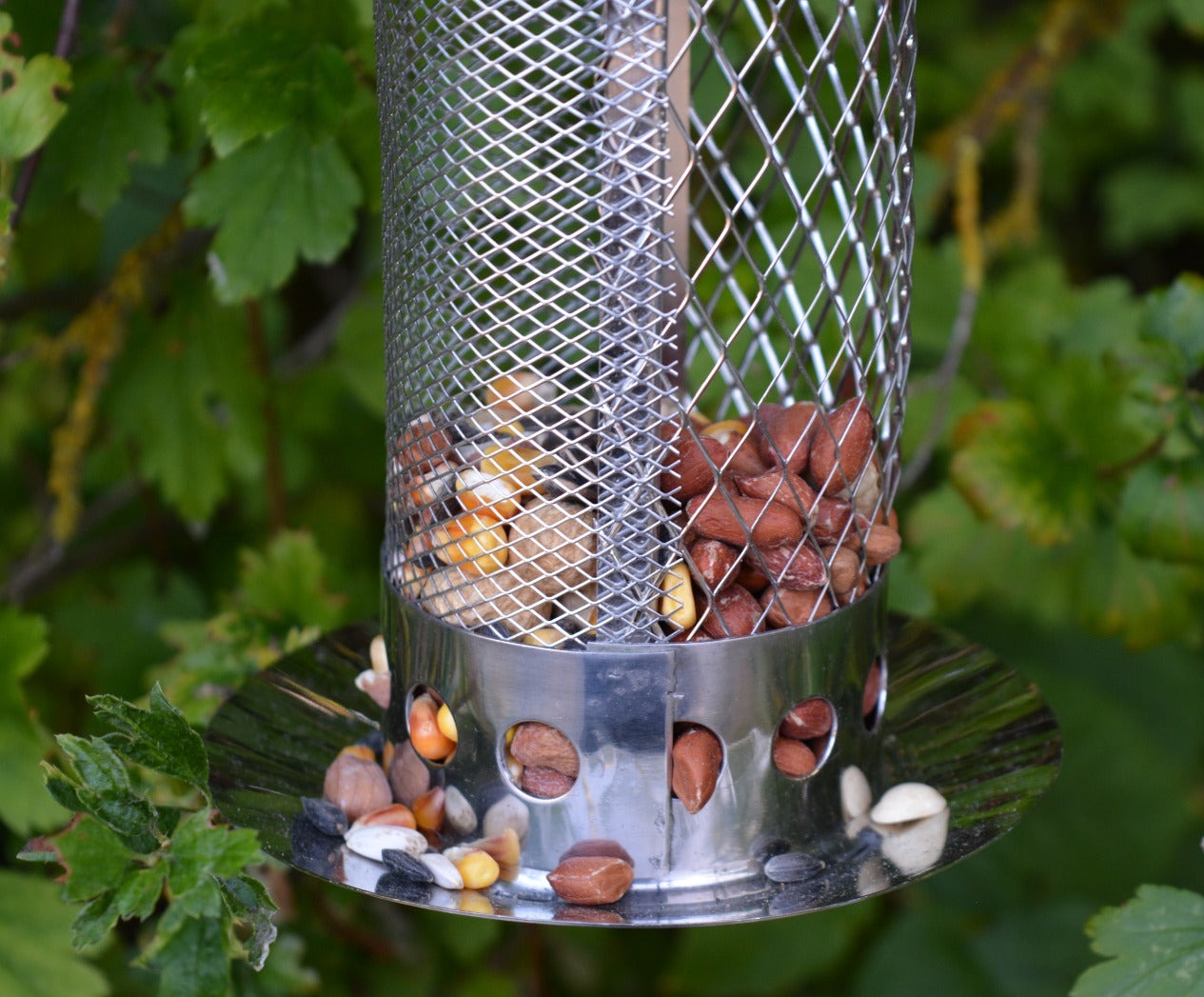 Combi Feeder Stainless steel