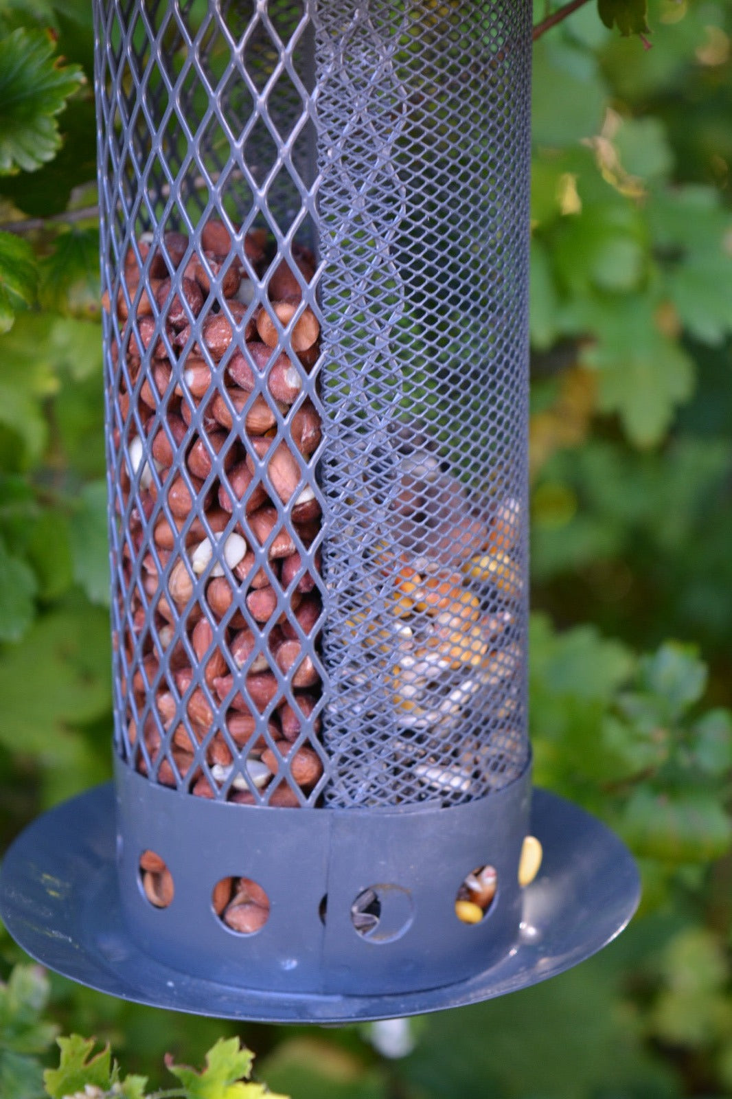 Combi Feeder L