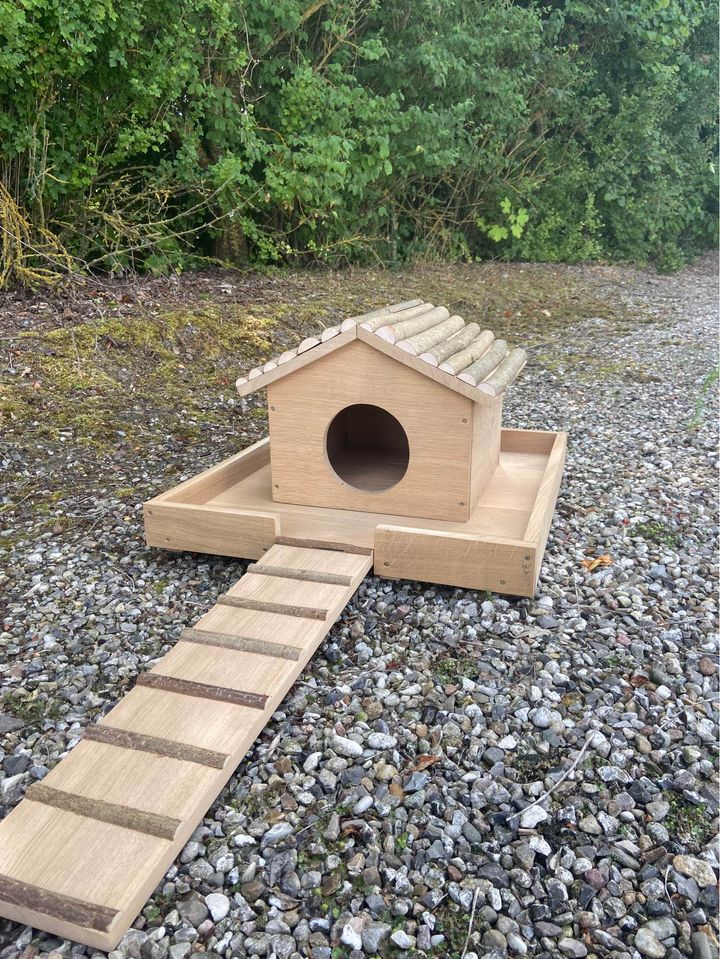 Duck house