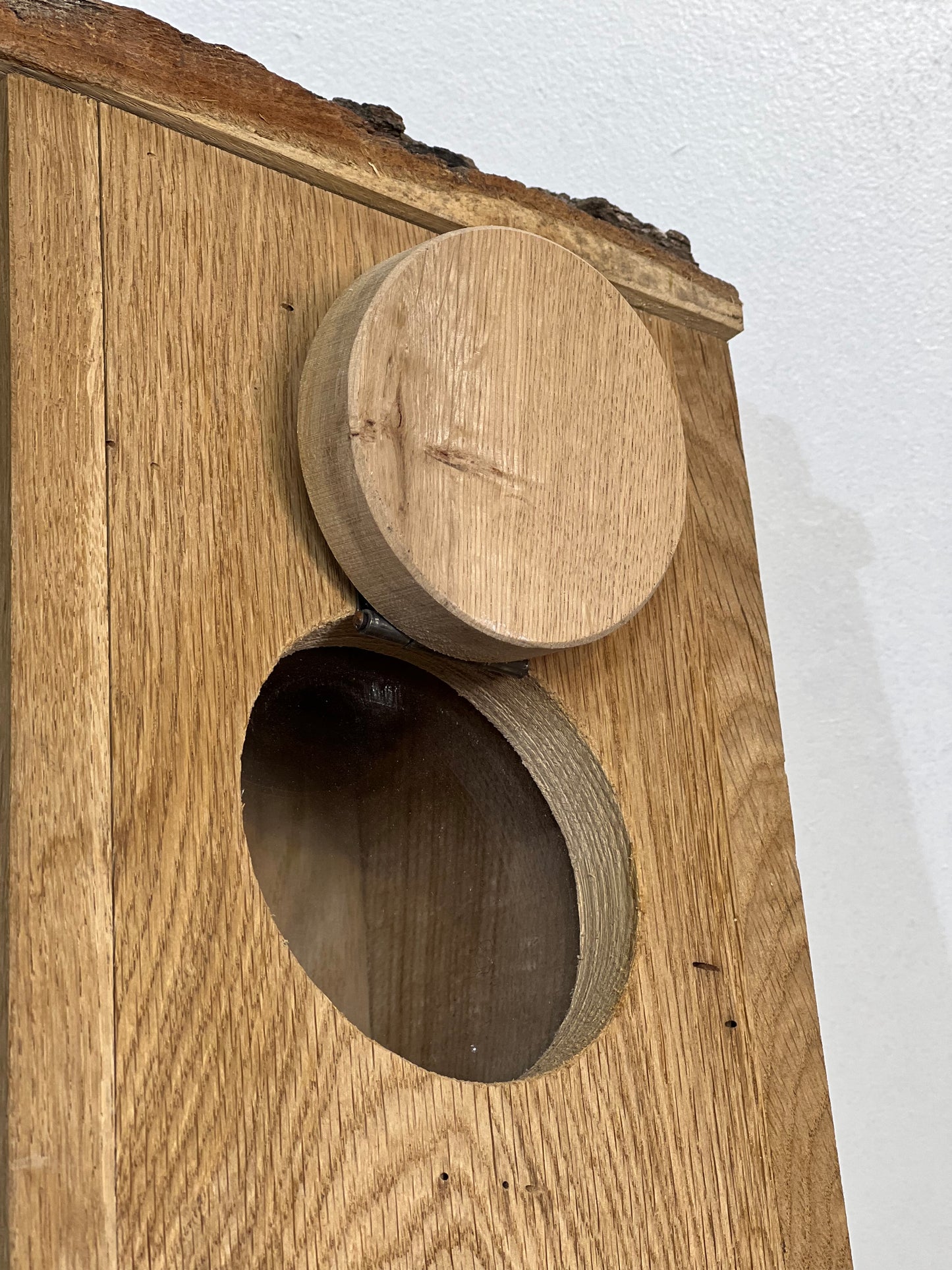 Observatory nest box 28mm hole