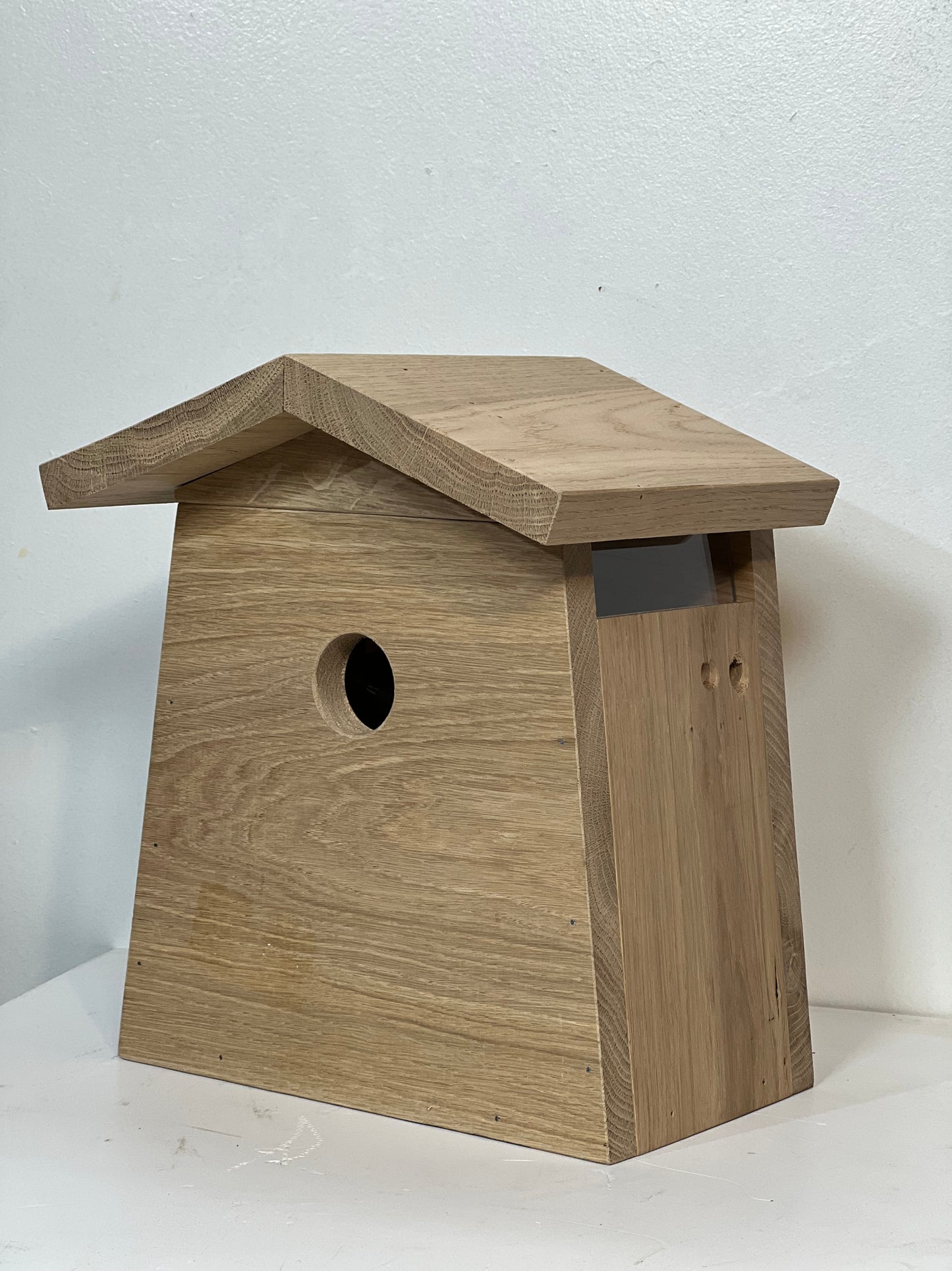 Camera Nest box Classic