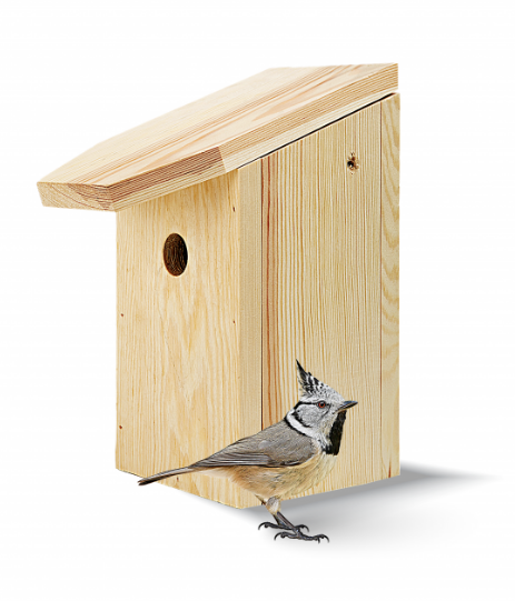 Nest box in pine (pine) 32mm hole