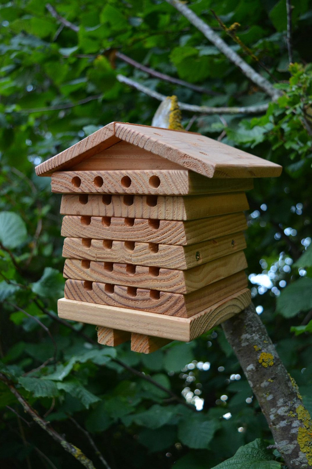 Wild bee house