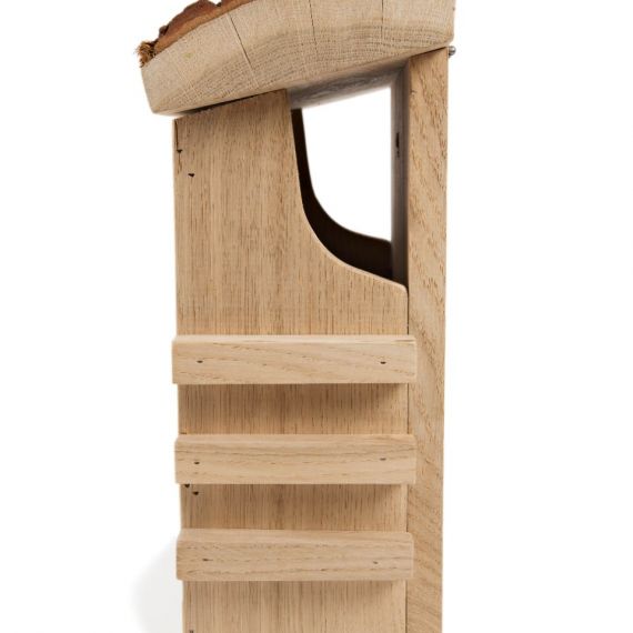 Squirrel nest box