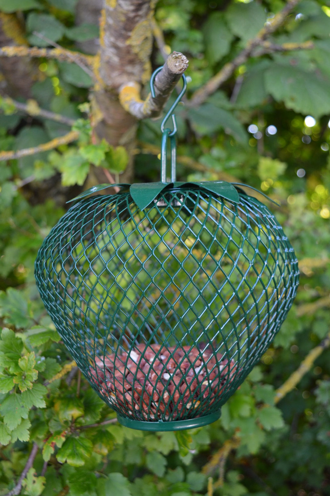 Strawberry Feeder Red or Green