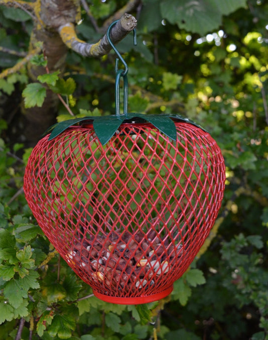 Strawberry Feeder Red or Green