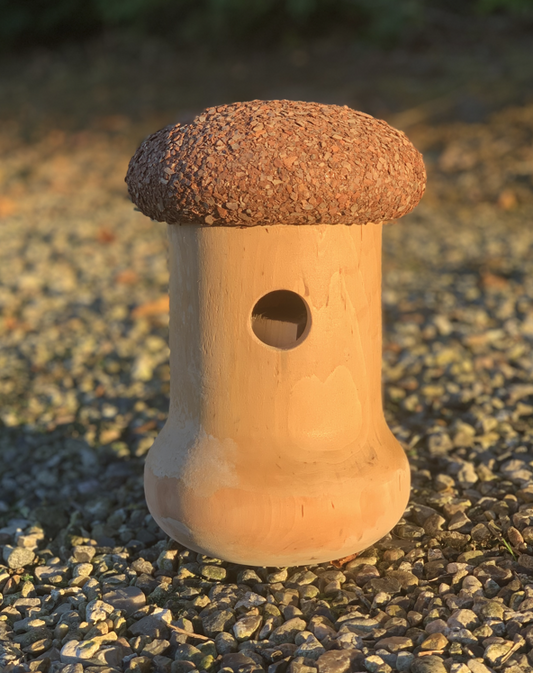 Mushroom nest box