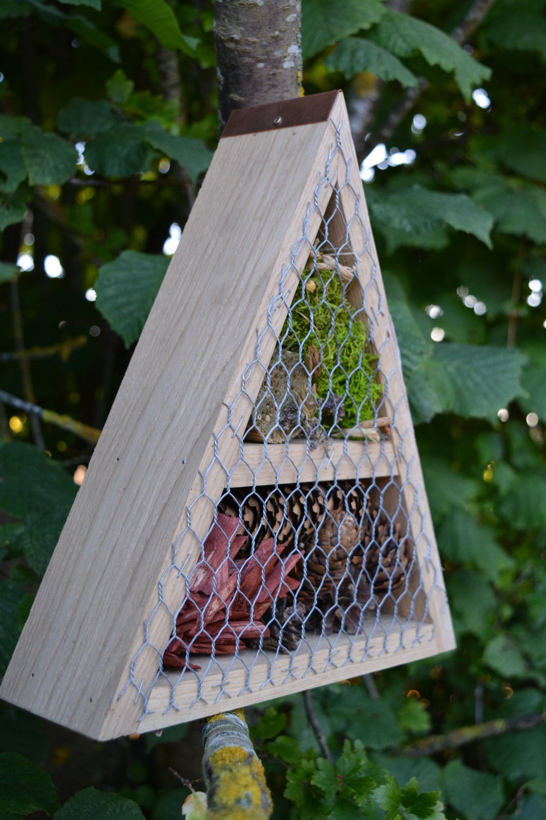 Pyramid Insect Hotel