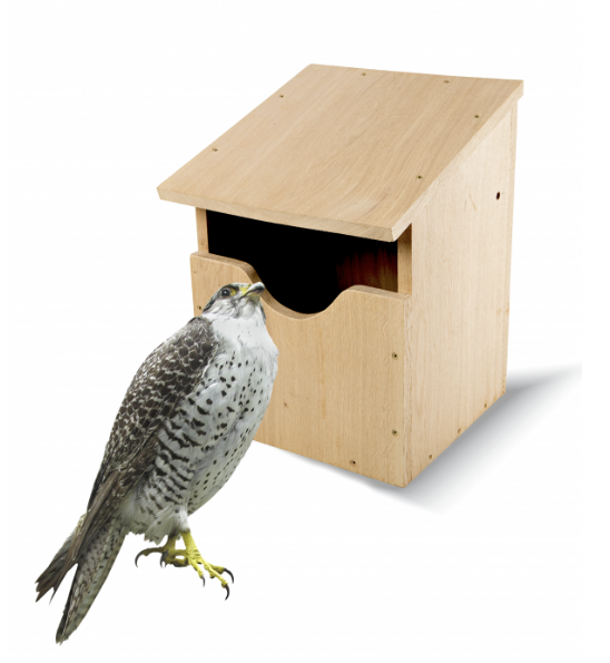 Owl nest/Falcon nest