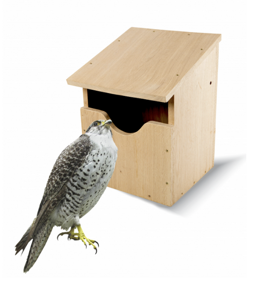Owl nest/Falcon nest