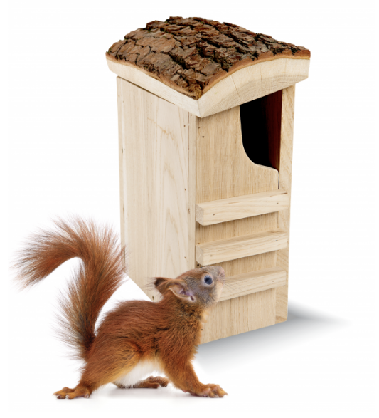 Squirrel nest box