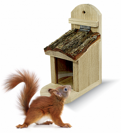 Squirrel Restaurant