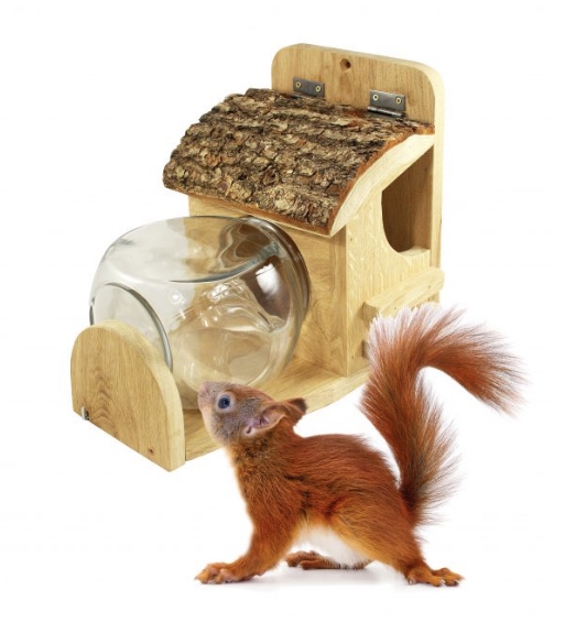Squirrel feeding station