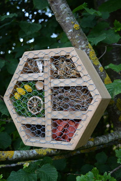 Hexagonal Insect Hotel