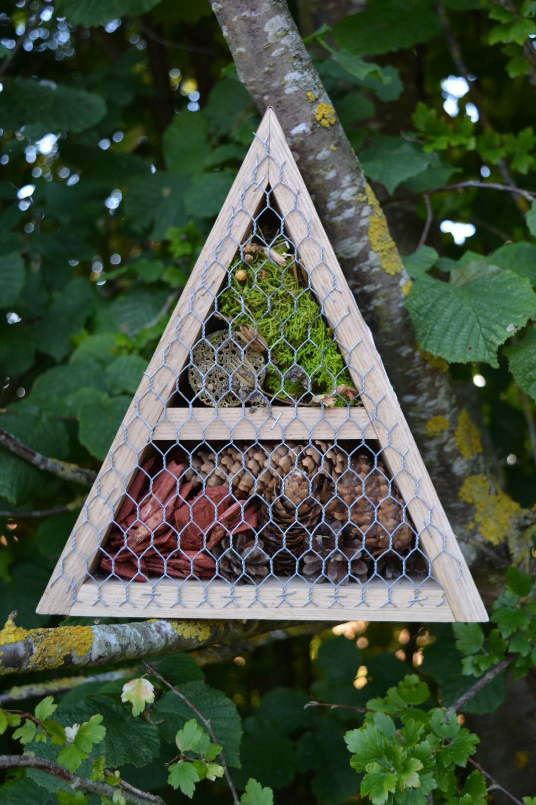 Pyramid Insect Hotel