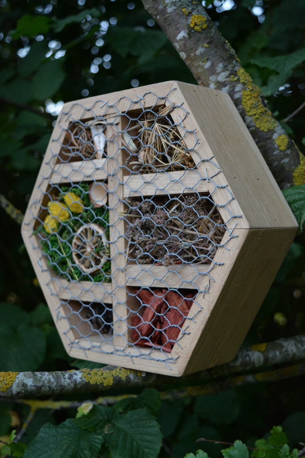 Hexagonal Insect Hotel