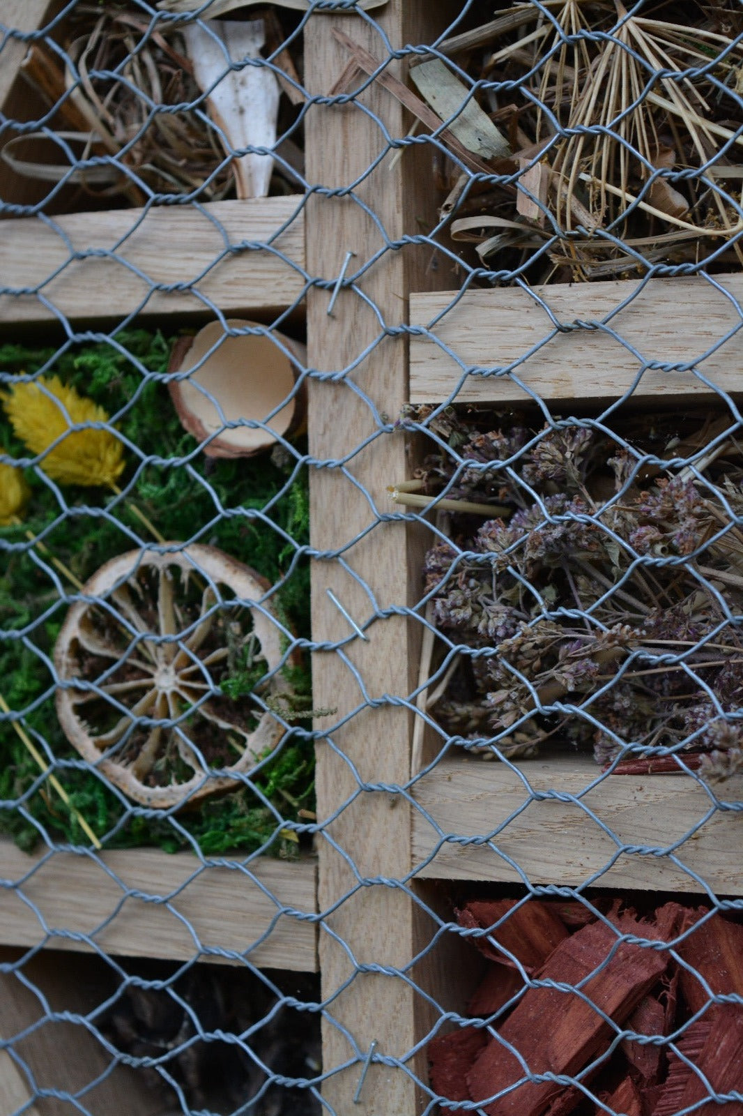 Hexagonal Insect Hotel