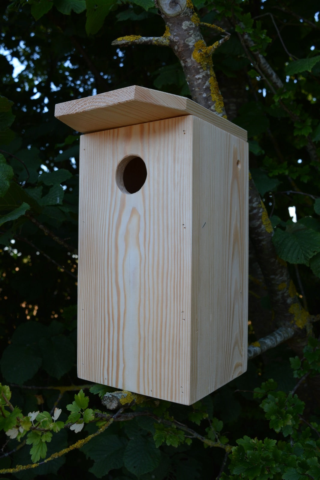 Nest box in pine (pine) 28mm hole